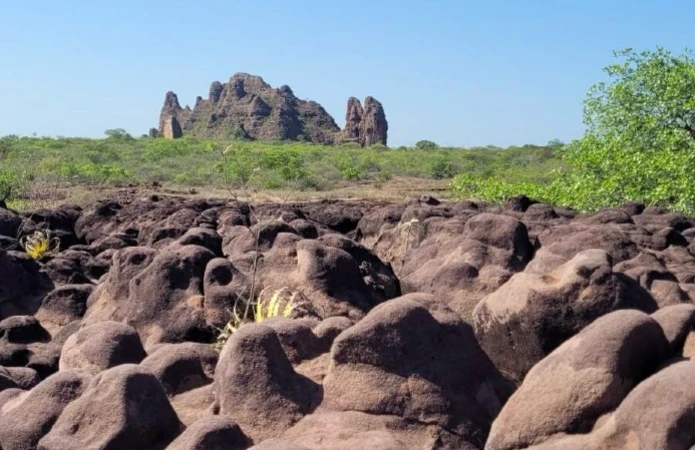 A paisagem se mistura a Caatinga
