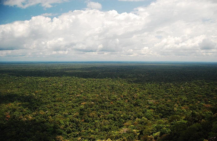 Floresta Amazônica