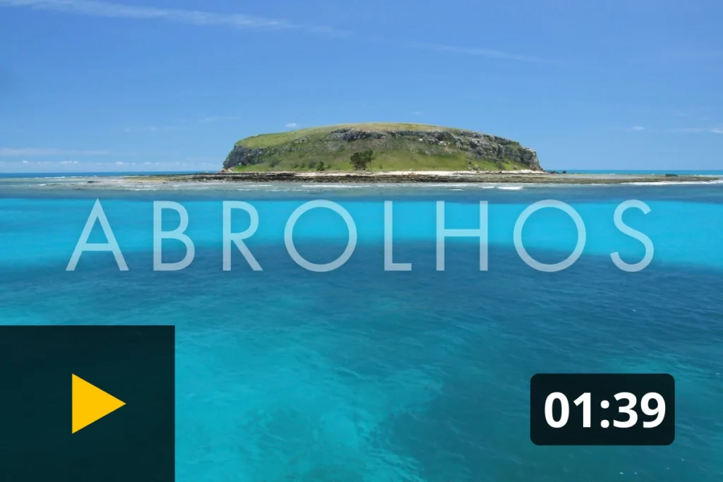 Capa do vídeo de Abrolhos