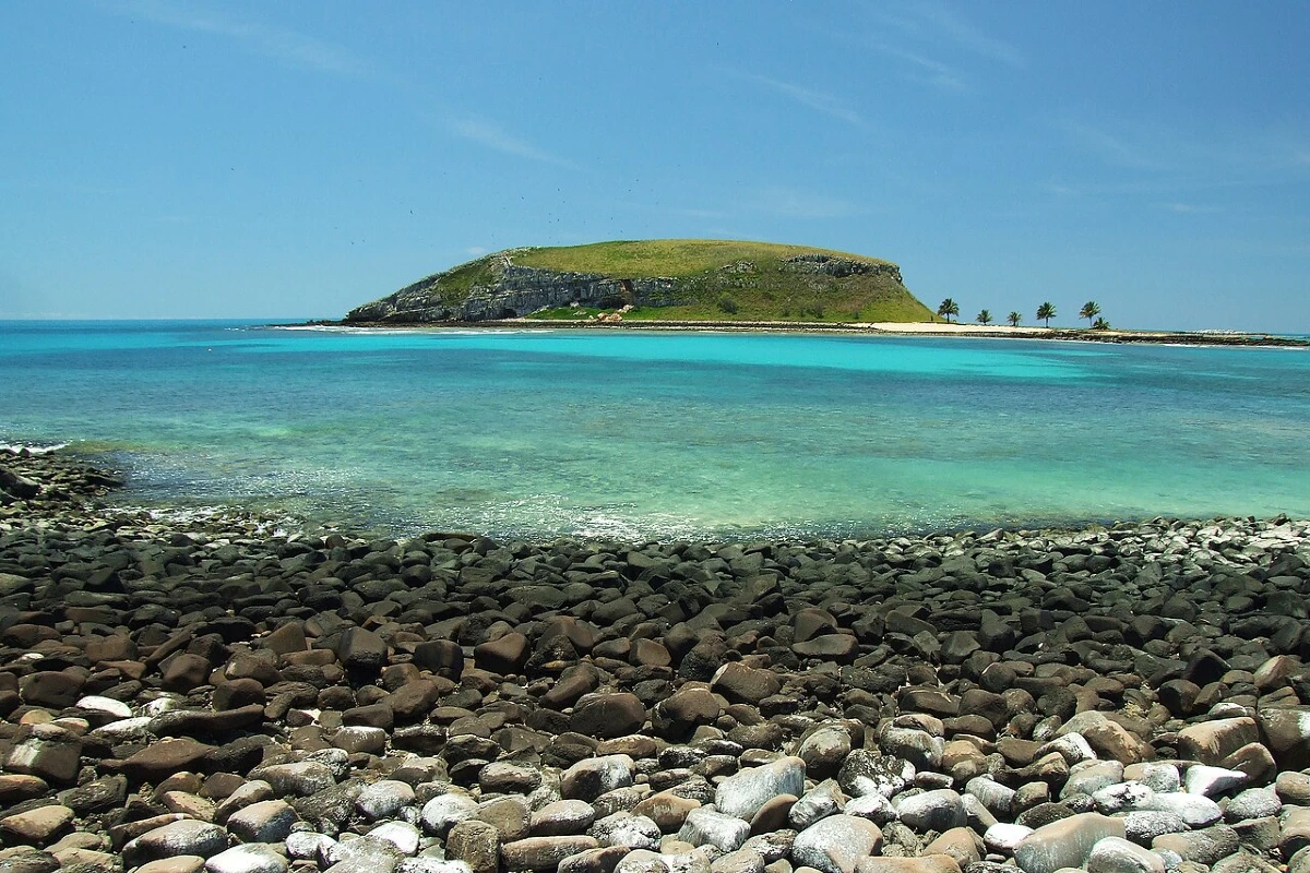 Abrolhos: o santuário do Atlântico Sul e berço das baleias-jubarte no Brasil