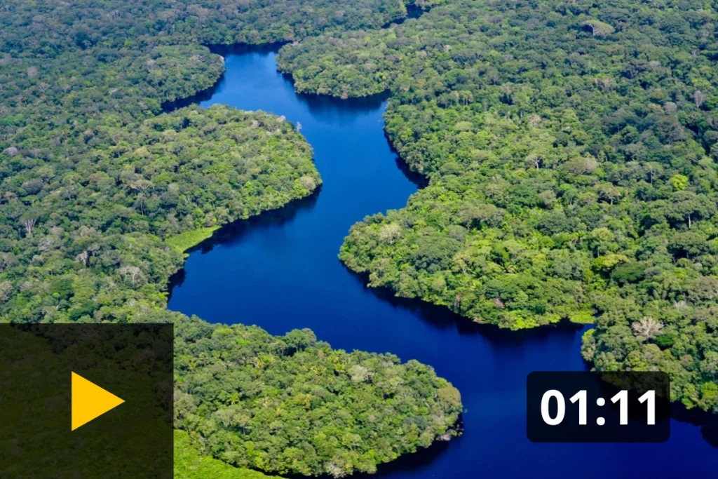 floresta da Amazônia