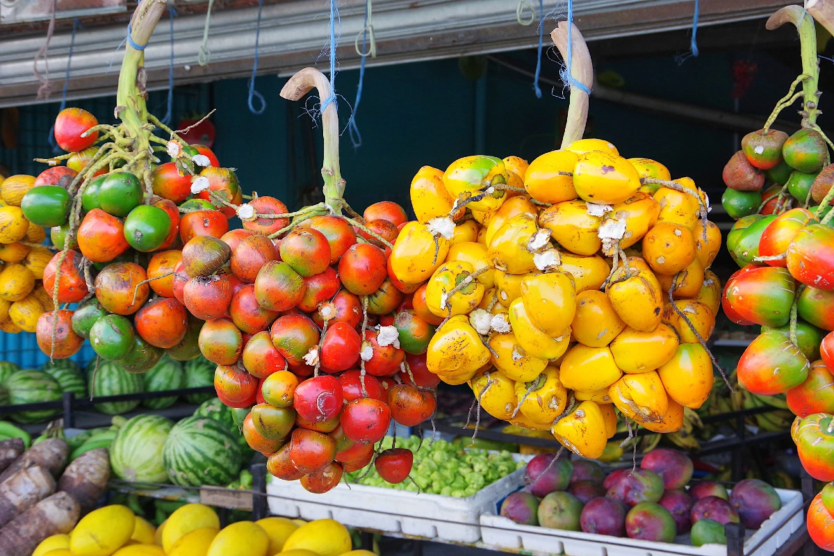 5 frutas nativas da Amazônia que revelam sabores e histórias da floresta