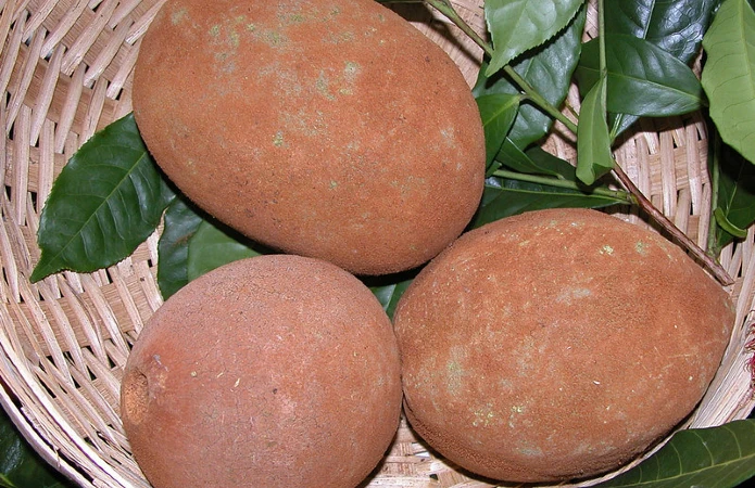 o cupuaçu guarda uma polpa branca, cremosa e muito aromática.